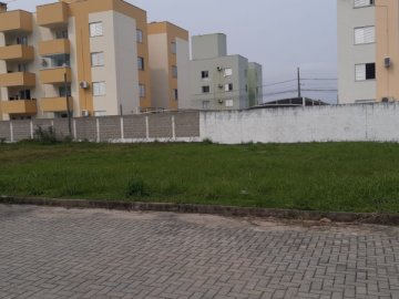 Terreno - Venda - Sertão do Imaruim - São José - SC